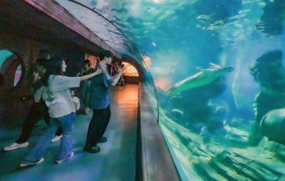 ​武汉东湖海洋乐园推出丰富的双节文旅活动