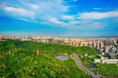 ​寻夏丨①照母山森林公园：树影婆娑美成画