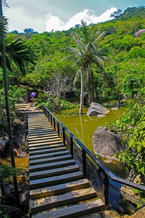 亚龙湾热带天堂森林公园，海南省第一座滨海山地生态观光森林公园