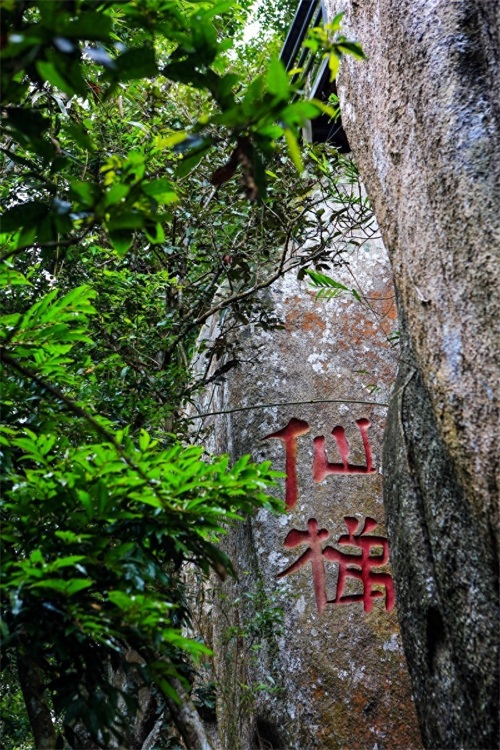 亚龙湾热带天堂森林公园，海南省第一座滨海山地生态观光森林公园