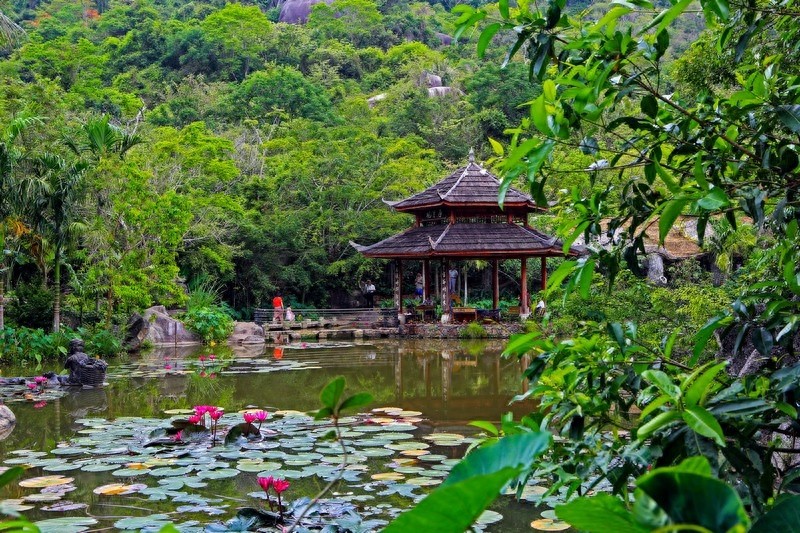 亚龙湾热带天堂森林公园，海南省第一座滨海山地生态观光森林公园