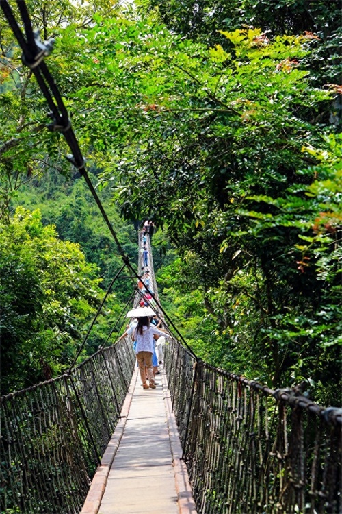 亚龙湾热带天堂森林公园，海南省第一座滨海山地生态观光森林公园