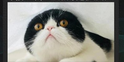 ​学生元旦晚会表演小品笑翻全场