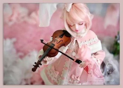 ​这里的LO娘一大群！图多慎入