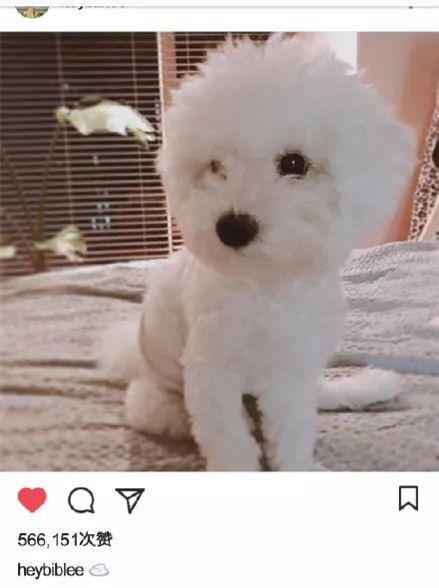 国民CP假分手！他俩怕掉粉居然改地下恋啦？？？