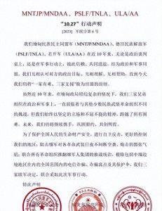 ​德昂军实力有多强？实力远超果敢同盟军，它才是三兄弟同盟的砥柱