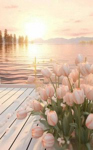 ​如果你的妻子不是“处女”，你会嫌弃她吗？男人的回答很现实