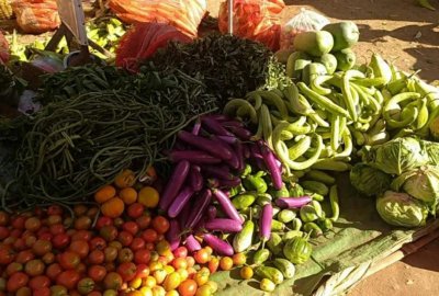 ​缅甸马圭蔬菜价格持续走低；大米碎米出口已达成计划目标的90％