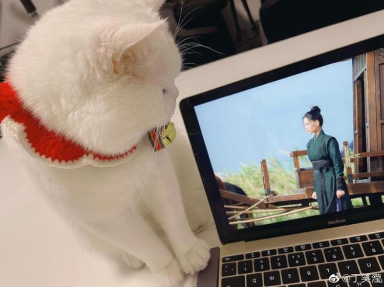 梦华录的高慧学导演却做了演员还是雪中的花魁鱼幼薇