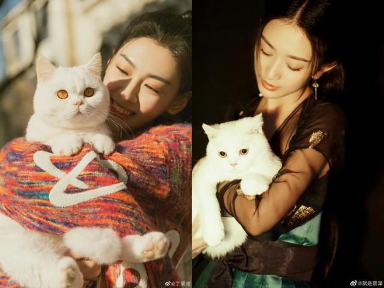 梦华录的高慧学导演却做了演员还是雪中的花魁鱼幼薇