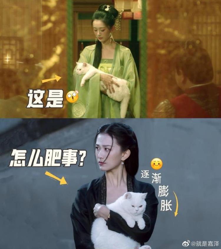 梦华录的高慧学导演却做了演员还是雪中的花魁鱼幼薇