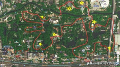 北京周末游周边——北京动物园