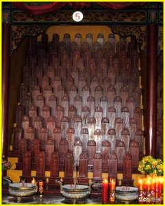 1230个姓氏!为何大槐树会迁移出这么多姓氏的人?