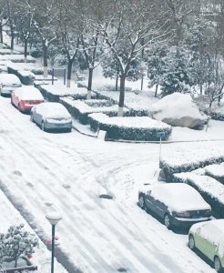 ​实拍西安鹅毛大雪