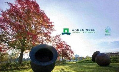 ​提供工资的荷兰博士继续申请：瓦格宁根大学11个岗位PHD发布！