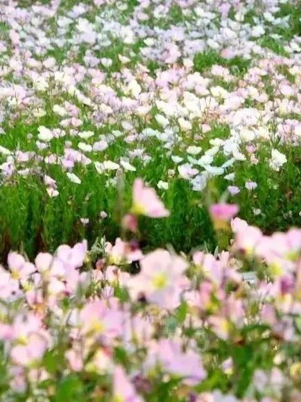 福州附近旅游攻略（超全的一份福州周边游攻略）(24)