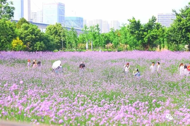 福州附近旅游攻略（超全的一份福州周边游攻略）(23)