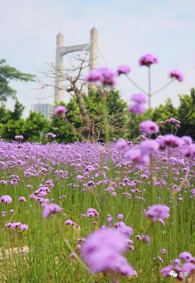 福州附近旅游攻略（超全的一份福州周边游攻略）(21)