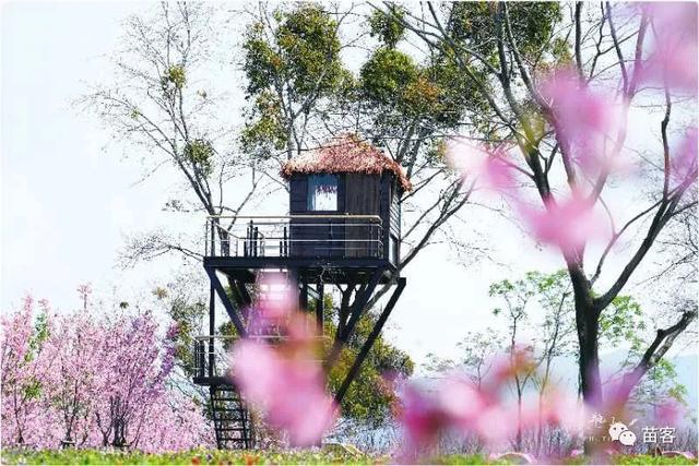 福州附近旅游攻略（超全的一份福州周边游攻略）(29)