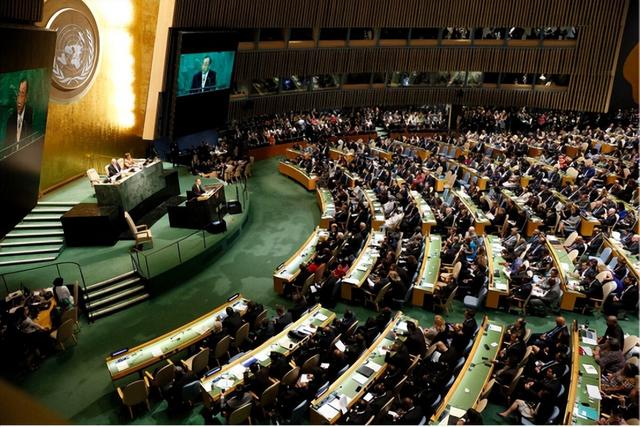 马云又有新动作（马云新身份曝光）(7)