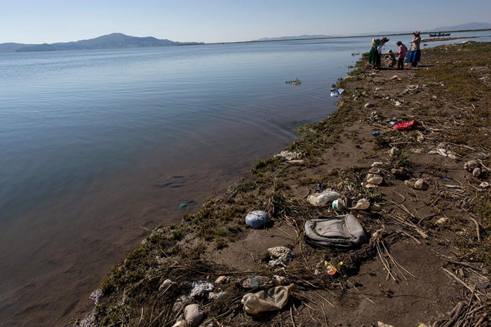 垃圾四处散布在的的喀喀湖岸，改变湖水酸度，经由皮肤皱褶吸收氧气的湖蛙会因此而受害。 PHOTOGRAPH BY RODRIGO ABD, AP