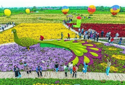 多彩城市,焕发强劲动力