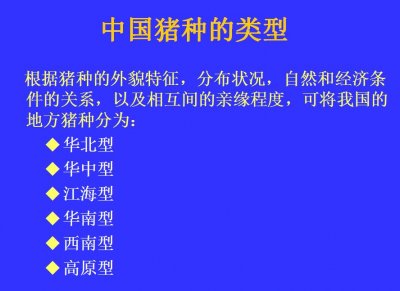 “中国常见地方品种猪简介”养猪,你真正的了解多少猪的品种?