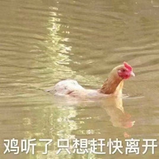 搞笑可爱表情图｜专业按摩来一套