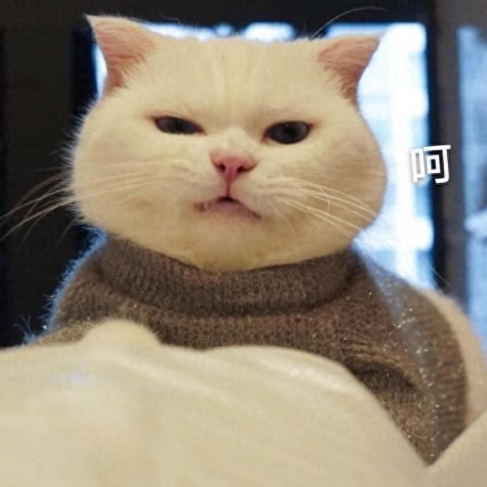 搞笑可爱表情图｜专业按摩来一套