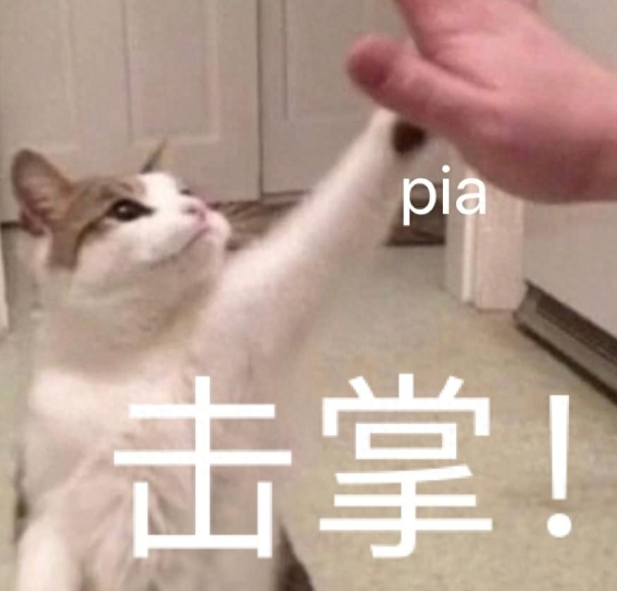 搞笑可爱表情图｜专业按摩来一套