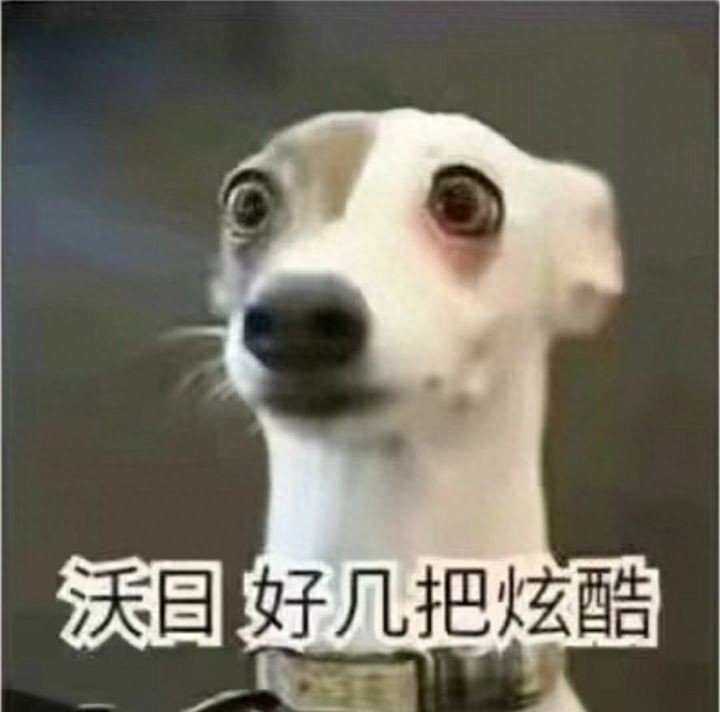 搞笑可爱表情图｜专业按摩来一套