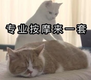 搞笑可爱表情图｜专业按摩来一套