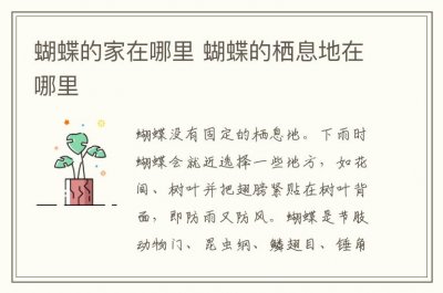 ​蝴蝶的家在哪里 蝴蝶的栖息地在哪里