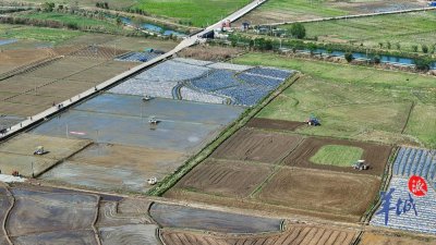 ​河源东源县：所有行政村2025年集体经济收入基本实现20万元以上
