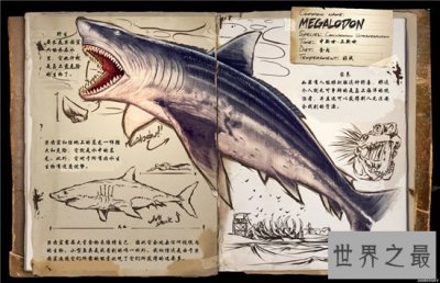 ​巨齿鲨生死谜，不少专家认为这种生物已经灭绝