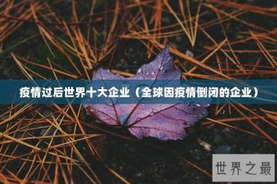 ​疫情过后世界十大企业（全球因疫情倒闭的企业）