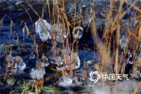 寒潮影响进入尾声 南方最低气温仍将低位运行