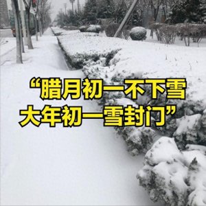 ​老话“腊月初一不下雪，大年初一雪封门”，今年过年有啥征兆？