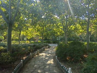 ​21首“梧桐”古诗词，首首动人，句句动情，一读抵眼，再读抵心！