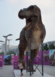 ​霸王龙是最厉害的食肉恐龙吗