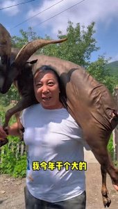 ​原来“老蒯”都是伪装！真实身份是大商人，难怪东北雨姐这么硬气