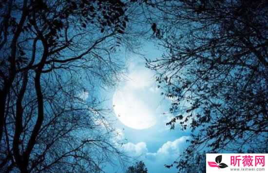 范玮琪和黑人怎么认识 范玮琪和黑人什么时候结婚的