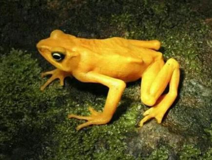 梁静和管虎什么关系 梁静的老公是管虎吗