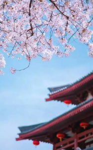 ​一日看尽长安花是什么意思？一日看尽长安花原文是什么？