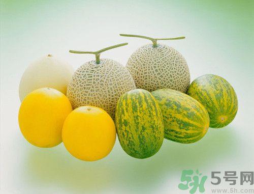 香瓜和甜瓜的区别是什么?香瓜和甜瓜营养价值谁高