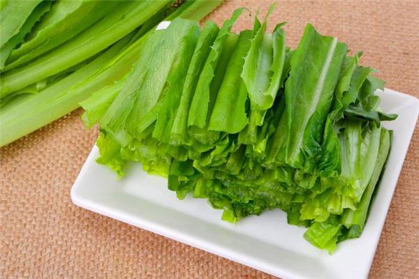 油麦菜的功效和作用 油麦菜可以减肥吃吗