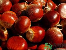 吃板栗会胖吗？吃板栗会不会发胖？