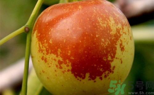 冬枣可以带上飞机吗?冬枣可以托运吗