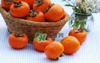 ​柿子多少钱一斤 柿饼多少钱一斤