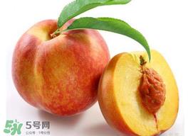 桃子可以放冰箱吗？桃子能放冰箱保鲜吗？